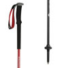 Trekking Poles